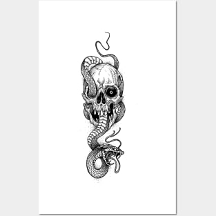 Snake and Skull Posters and Art